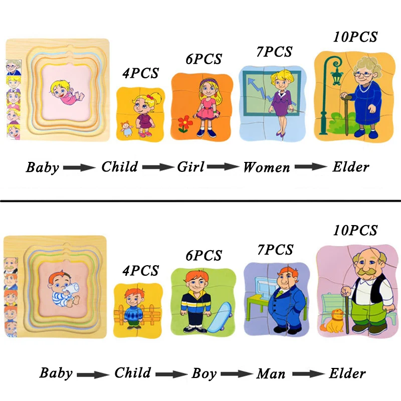 Montessori Man Woman Growth Puzzles Wooden Toys Caterpillar Frog Sunflower Growth Process Puzzle Educational Toys For Children - Image 5