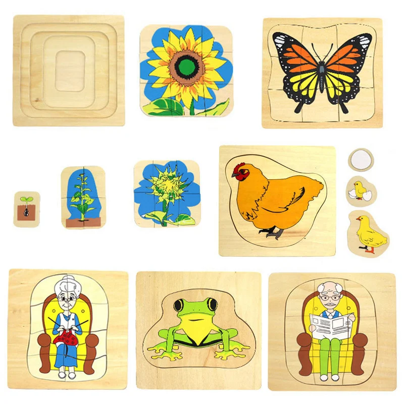 Montessori Man Woman Growth Puzzles Wooden Toys Caterpillar Frog Sunflower Growth Process Puzzle Educational Toys For Children - Image 2